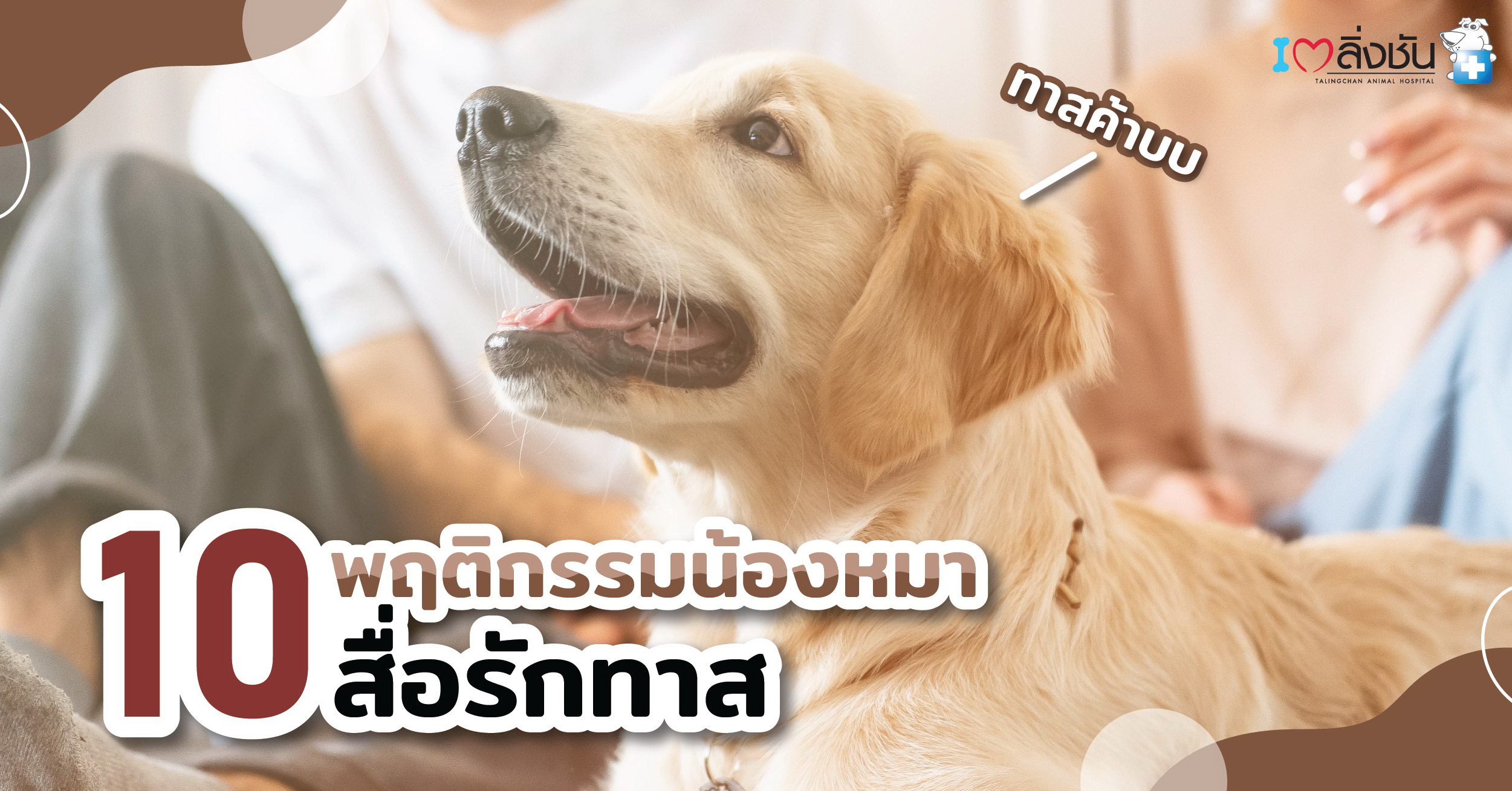 เปิด 10 พฤติกรรม